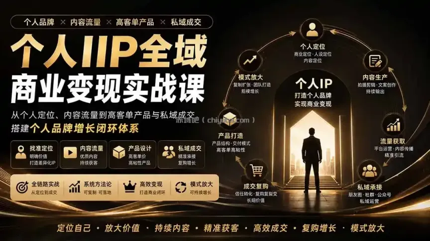 个人IP全域商业变现实战课 (无水印