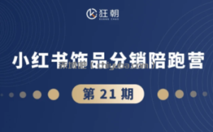 盗坤·抖音小红书视频号短视频带货与直播变现(11-21期)【更新】