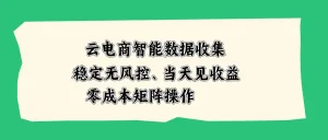 云电商智能数据收集，稳定无风控，当天见收益，零成本矩阵操作