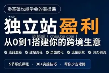 刘老师·5节课跑通独立站盈利全流程