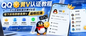 QQ黄V认证教程，个人主资料显示黄V认证，号下所有群都是黄V，逼格拉满