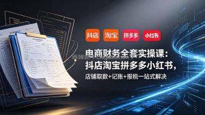 电商财务全套实操课：抖店淘宝拼多多小红书，店铺取数+记账+报税一站式解决