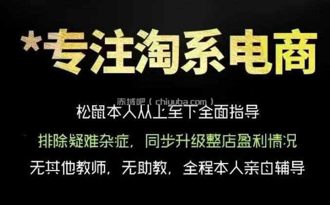 松鼠会电商VIP课程，从基础布局到高阶优化，助你掌握淘宝运营逻辑，提升店铺流量与转化