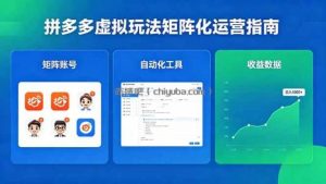 闭眼可复制的拼多多虚拟玩法，矩阵化运营，长期稳定日入 1000+