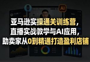 亚马逊实操通关训练营，直播实战教学与AI应用，助卖家从0到精通打造盈利店铺(更新5月8日)