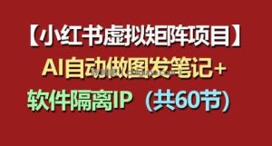 小红书虚拟矩阵项目：软件隔离IP+AI自动做图发笔记(共60节)