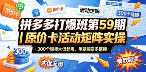 拼多多打爆班第59期｜原价卡活动矩阵实操，300个链接大促起爆，单款裂变多链接
