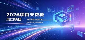 2026项目天花板，风口项目，日收益3~500+全自动挂机，不吃配置