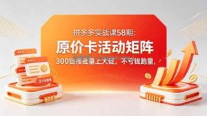 拼多多实战课58期：原价卡活动矩阵，300链接批量上大促，不亏钱跑量