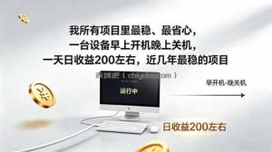 我所有项目里最稳，最省心，一台设备早上开机晚上关机，一天日收益200左右，近几年最稳的项目