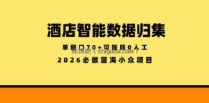 酒店智能数据归集，小众蓝海已经稳定半年之久，单窗口70+零成本矩阵开干【揭秘】
