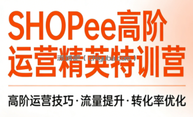 梦凡老师·Shopee虾皮高阶运营课程(更新5月)