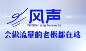 董十一·风声短视频AI获客年度会员