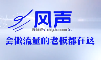 董十一·风声短视频AI获客年度会员