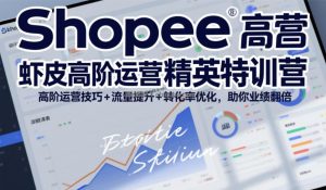 Shopee虾皮高阶运营精英特训营，高阶运营技巧+流量提升+转化率优化，助你业绩翻倍(更新26年5月)