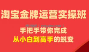 飓风电商·淘宝金牌运营实操班