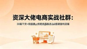 资深大佬电商实战社群：30篇干货+视频课，手把手带新手从0搭建盈利店铺