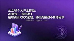 公众号个人IP全体系：AI提效+一键排版+精准引流+爆文选题，稳在流量池不掉池秘诀