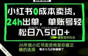 小红书0成本AI卖货，24小时出单，全流程托管，保底日入500+，每天十几分钟就够了【揭秘】