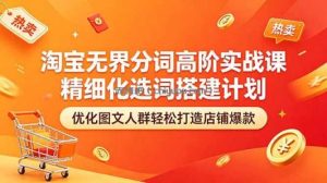 淘宝无界分词高阶实战课 精细化选词搭建计划 优化图文人群轻松打造店铺爆款