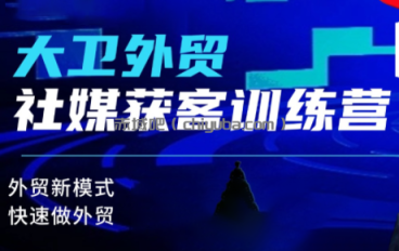 大卫老师·外贸社媒获客独家训练营(更新6月)