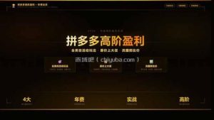 拼多多高阶盈利年费会员(更新3月31