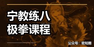 宁教练八极拳课程