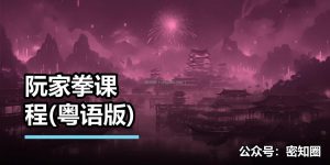 阮家拳课程(粤语版)
