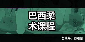 巴西柔术课程