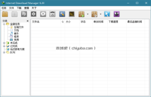 下载利器IDM v6.43.10绿色版