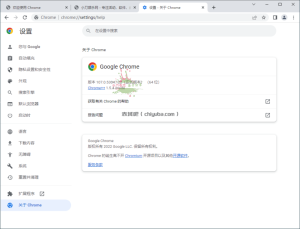 Google Chrome v152.0.7977.83绿色便携版