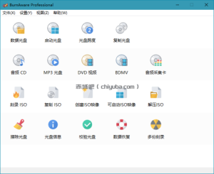 BurnAware Professional v19.3.0