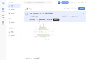 迅雷17 v25.1.12.1627绿色精简版