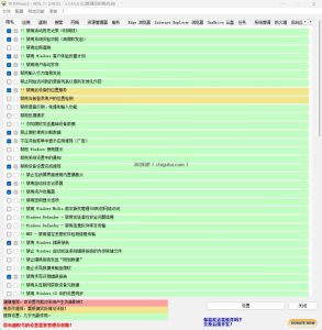 W10Privacy v6.3.0.1 中文绿色版