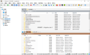XYplorer v28.30.2200绿色便携版