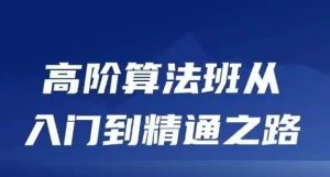 高阶算法学习视频教程：从入门到精通
