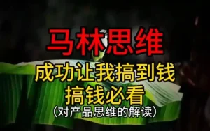 马林思维完整充电视频及30分钟男士进阶课程