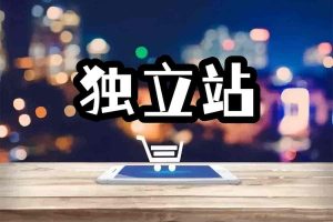 开启独立站变现闭环：3 天实战训练营，高效掘金跨境电商