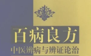 中医辨证施治宝典：百病调理的智慧传承