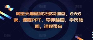 淘宝天猫盈利突破：高利润运营特训