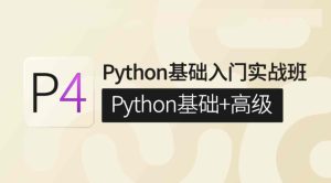 对标P4 Python：基础入门实战