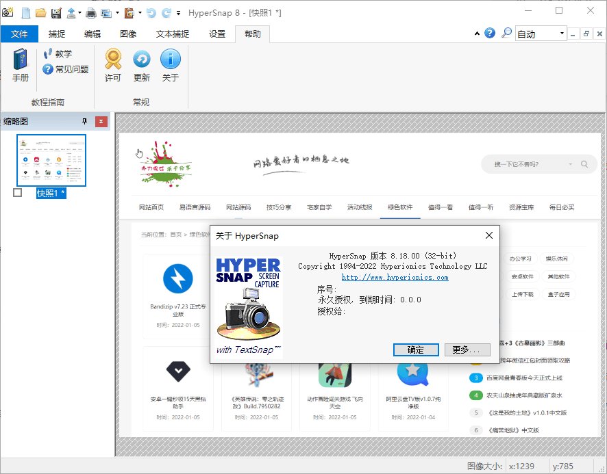 HyperSnap v10.5.0便携汉化版