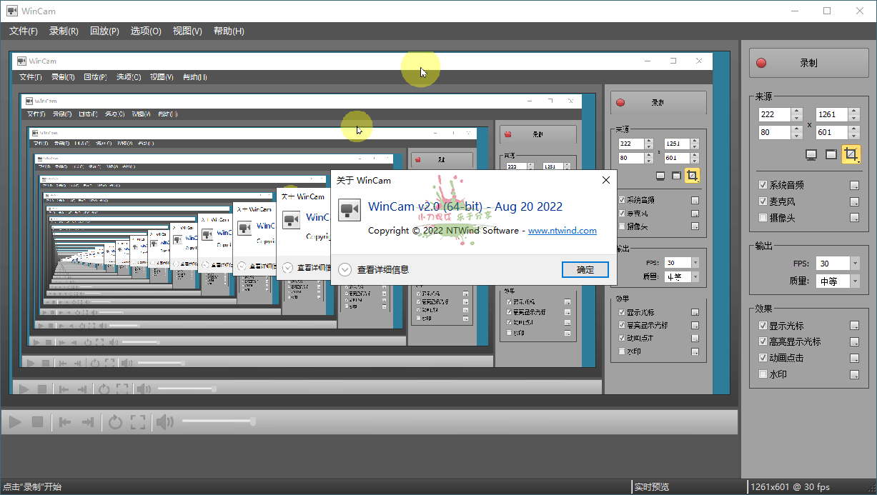 WinCAM屏幕录像v4.1.0.0中文版