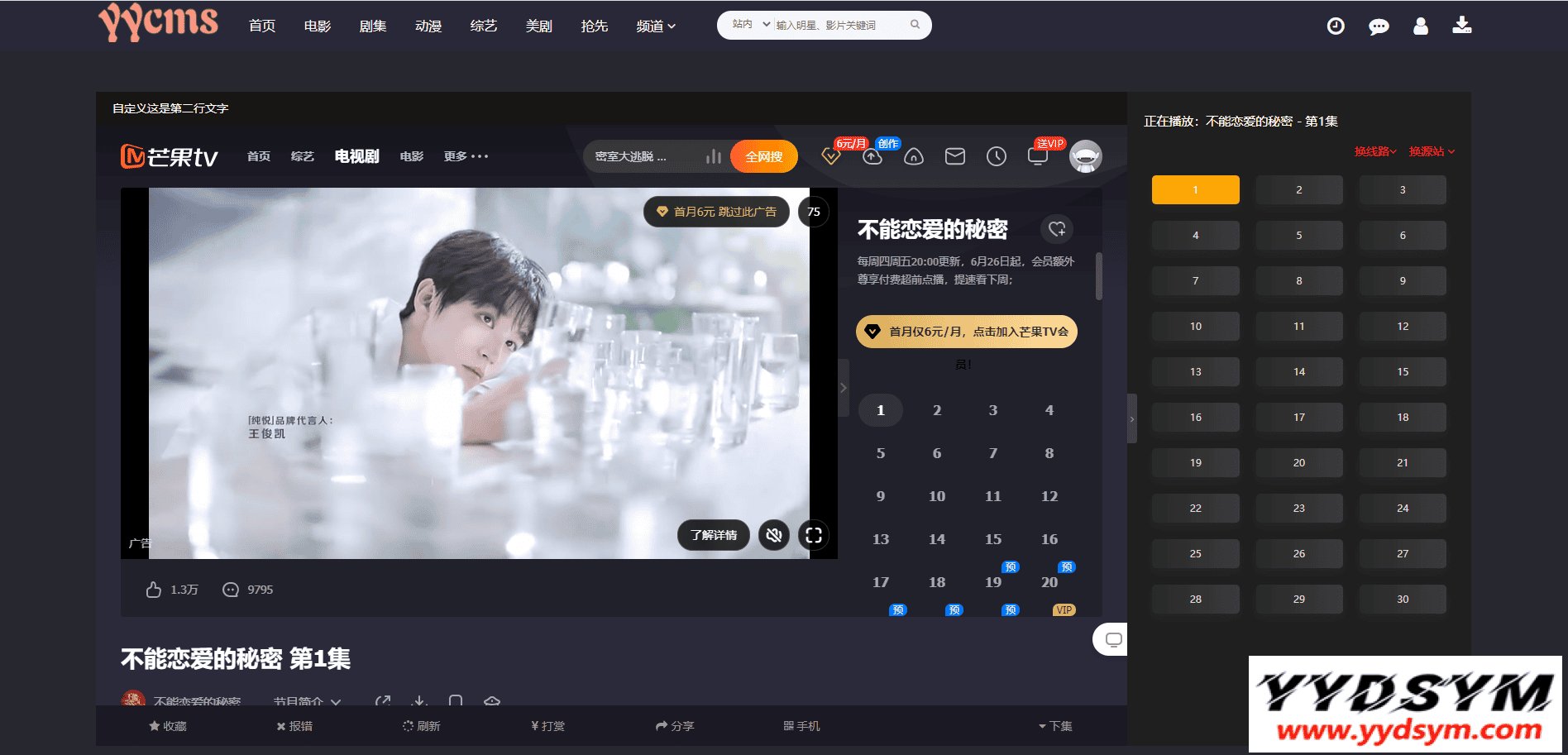 YYCMS5.0影视系统/源码全开源无授权/影视站全自动采集